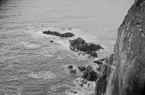 ATLANTIC DRIVE COASTAL SCENE